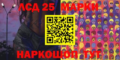 индика Кандалакша