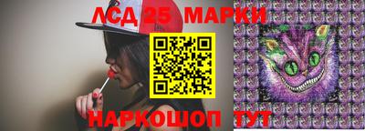 индика Кандалакша