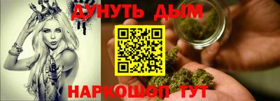индика Кандалакша