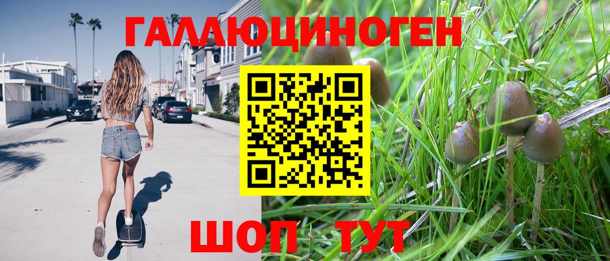 Псилоцибиновые грибы GOLDEN TEACHER  Вход с VPN  Шахты  Псилоцибиновые грибы прущие грибы 