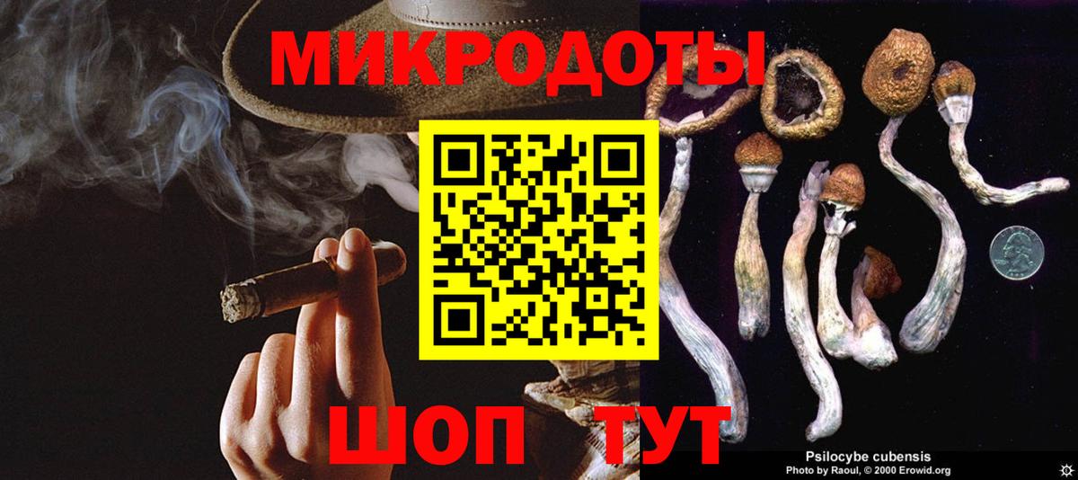 Галлюциногенные грибы мухоморы Шахты
